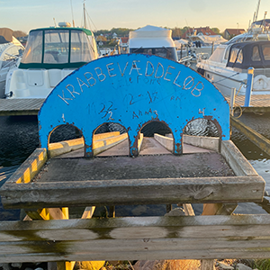 Krabbevæddeløbsbane